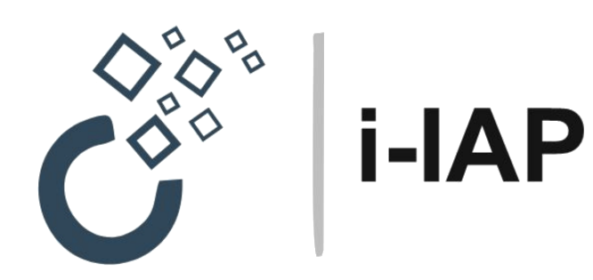 Interactive Accessibility Panel